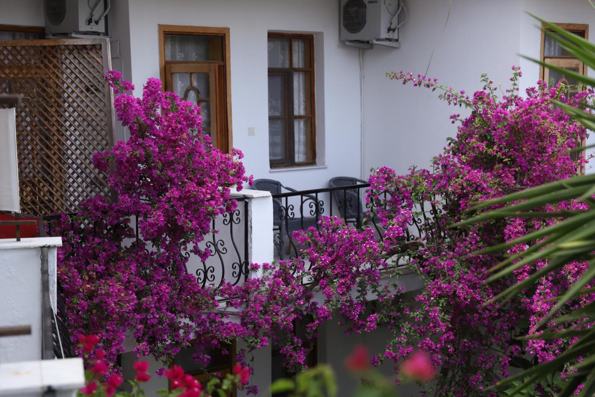Yeni Doga Hotel Dalyan Exterior photo